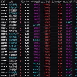 2025年2月13日沪深股市主力资金净流入前25名