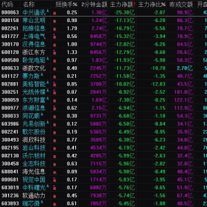 2025年2月13日沪深股市主力资金净流出前25名