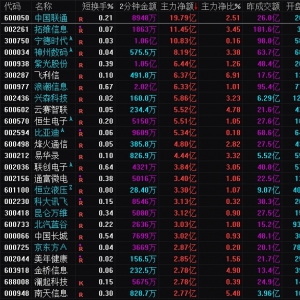 2025年2月14日沪深股市主力资金净流入前25名