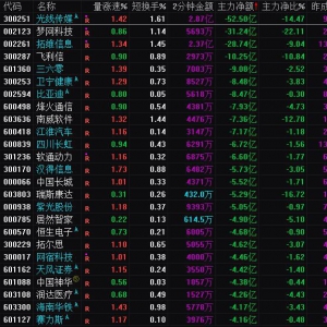 2025年2月17日沪深股市主力资金净流出前25名