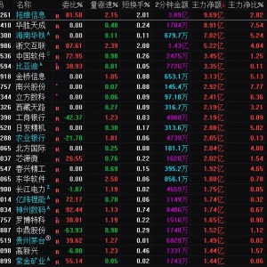 2025年2月18日沪深股市主力资金净流入前25名