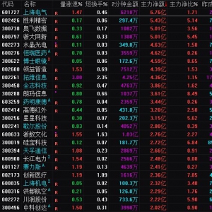 2025年2月20日沪深股市主力资金净流入前25名