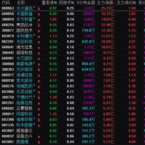 2025年2月21日沪深股市主力资金净流入前25名