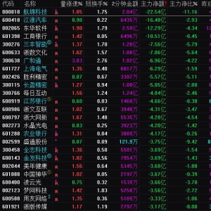 2025年2月21日沪深股市主力资金净流出前25名