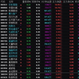 2025年2月25日沪深股市主力资金净流入前25名