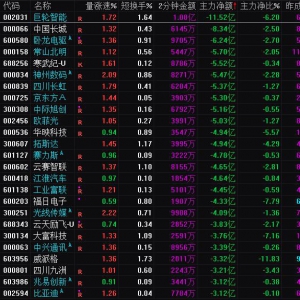 2025年2月26日沪深股市主力资金净流出前25名