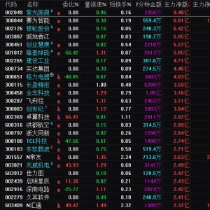 2025年3月4日沪深股市主力资金净流入前25名