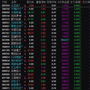 2025年3月4日沪深股市主力资金净流出前25名
