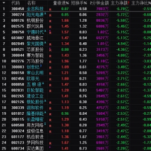 2025年3月5日沪深股市主力资金净流出前25名