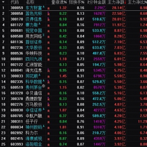 2025年3月6日沪深股市主力资金净流入前25名