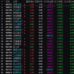 2025年3月6日沪深股市主力资金净流出前25名