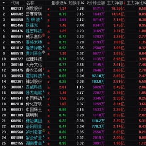 2025年3月7日沪深股市主力资金净流入前25名