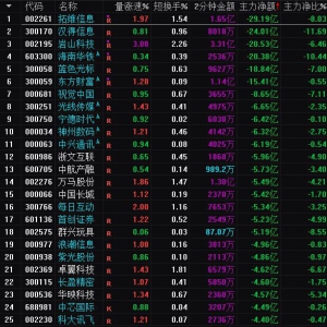 2025年3月7日沪深股市主力资金净流出前25名