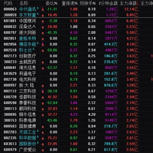 2025年3月12日沪深股市主力资金净流入前25名