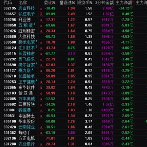 2025年3月12日沪深股市主力资金净流出前25名