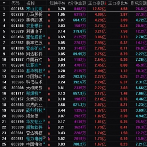 2025年3月13日沪深股市主力资金净流入前25名
