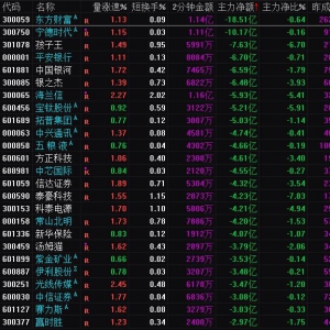 2025年3月17日沪深股市主力资金净流出前25名