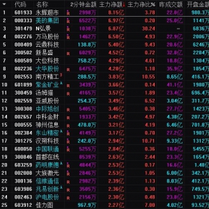 2025年3月18日沪深股市主力资金净流入前25名