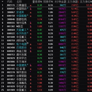 2025年3月21日沪深股市主力资金净流入前25名