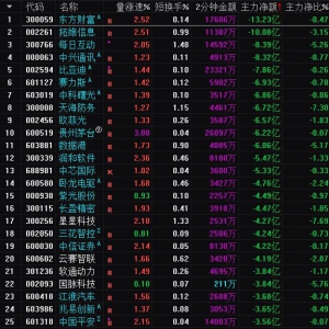 2025年3月21日沪深股市主力资金净流出前25名