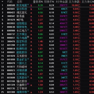 2025年3月24日沪深股市主力资金净流入前25名