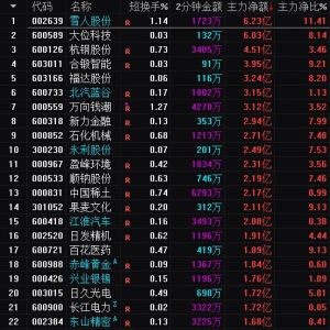 2025年3月28日沪深股市主力资金净流入前25名