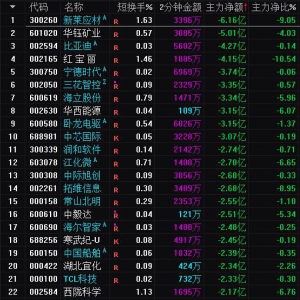 2025年3月28日沪深股市主力资金净流出前25名