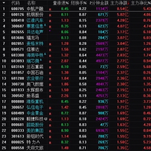 2025年3月31日沪深股市主力资金净流入前25名