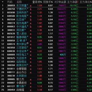 2025年3月31日沪深股市主力资金净流出前25名