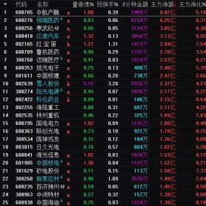 2025年4月1日沪深股市主力资金净流入前25名