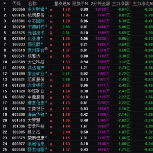 2025年4月1日沪深股市主力资金净流出前25名
