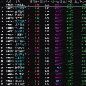 2025年4月10日沪深股市主力资金净流出前25名