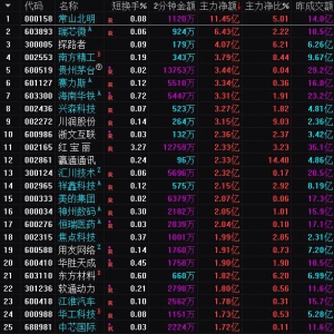 2025年4月30日沪深股市主力资金净流入前25名