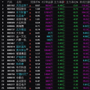 2025年6月30日沪深股市主力资金净流入前25名