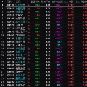 2025年7月4日沪深股市主力资金净流入前25名