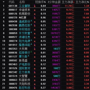 2025年7月8日沪深股市主力资金净流入前25名