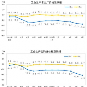 2025年6月份全国工业生产者出厂价格（PPI）同比下降3.6%