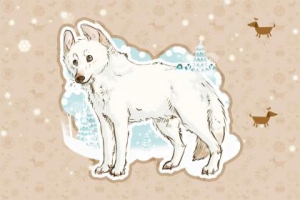 白鸽眼睛，四围观望。回瞻二妙非吾侣。寻找伴侣，相依晚傍。两军鼓角暗相闻打猜哪一个 ...