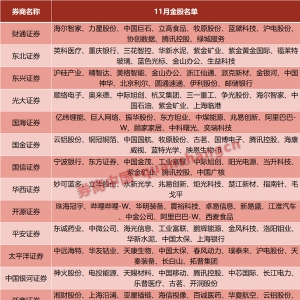 2025年11月券商金股组合（股票池）