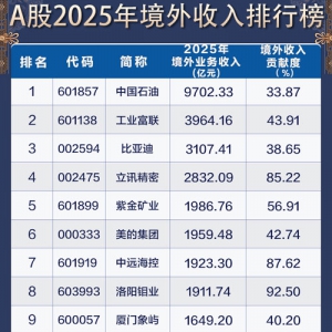 2025年上市公司出海排行榜