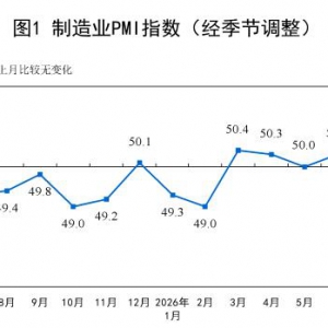 7月份制造业采购经理指数（PMI）为49.2%环比下降1.1个百分点